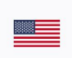 USA Flag